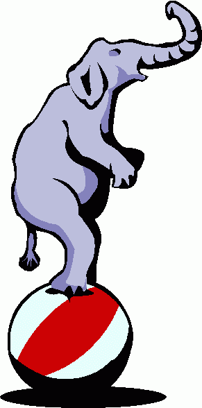 291x588 Elephant Seal Clipart Animated