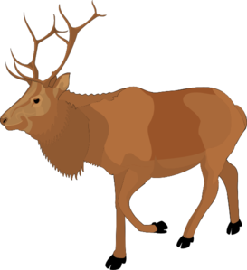 273x299 Reindeer 5 Clip Art