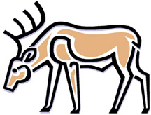 216x164 Stephanie M. Schwartz Clipart Panda