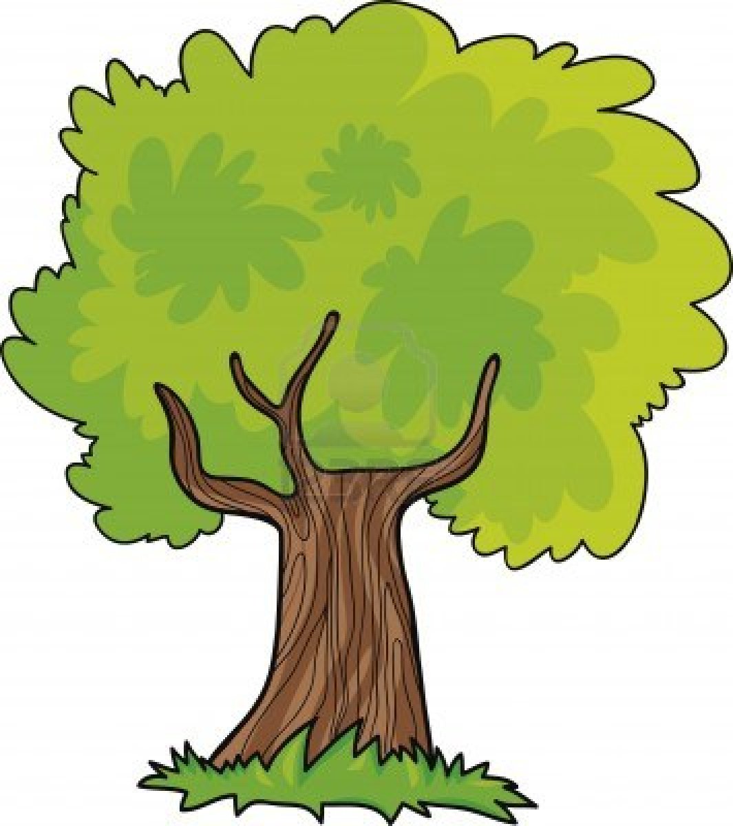 1065x1200 Jungle Tree Clipart