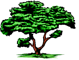 307x235 Oak Tree Clipart Desktop Backgrounds
