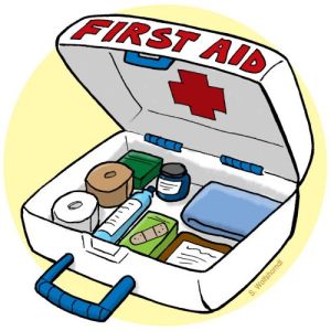 300x300 Emergency Kit Clip Art