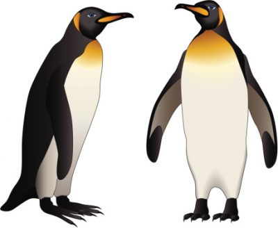 400x328 Penguin Clipart Page 2 Clipartaz Free Clipart Collection