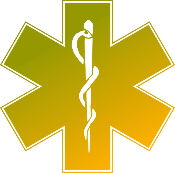 600x594 Star Of Life Clipart