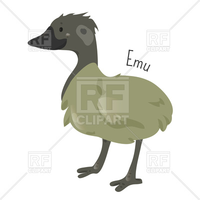 400x400 Emu Isolated On White Background Royalty Free Vector Clip Art