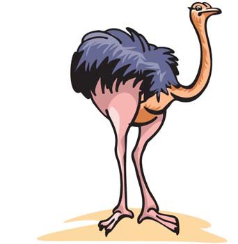 342x350 Free Camel Bird Clipart And Vector Graphics