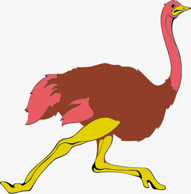 650x658 Running Ostrich, Run, Ostrich, Red Png Image And Clipart For Free