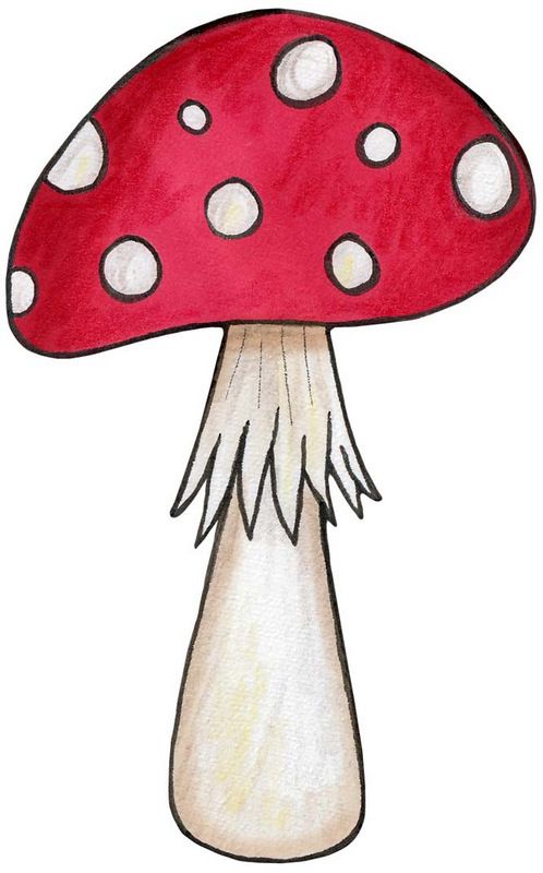 498x800 Mushroom For An Enchanted Forest Woodlands Party Woodlands