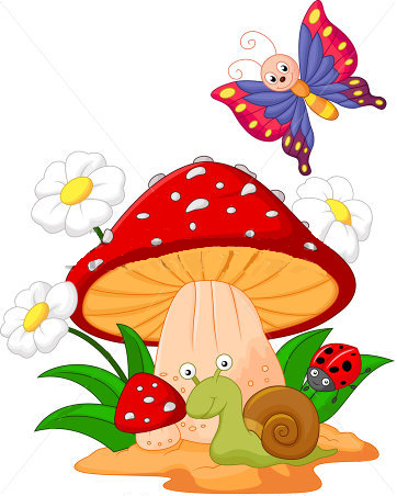 362x452 Proiect Insecte Grupa Mijlocie