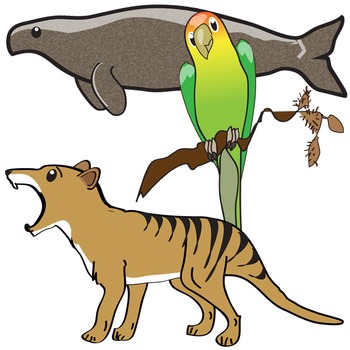 350x350 Extinct Animals Clip Art By Studio Devanna Teachers Pay Teachers