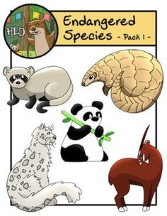 236x304 An Adorable Baby Pangolin Happily Goes For A Ride On His Mother'S