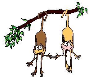 300x248 36 Best Fairs And Projects