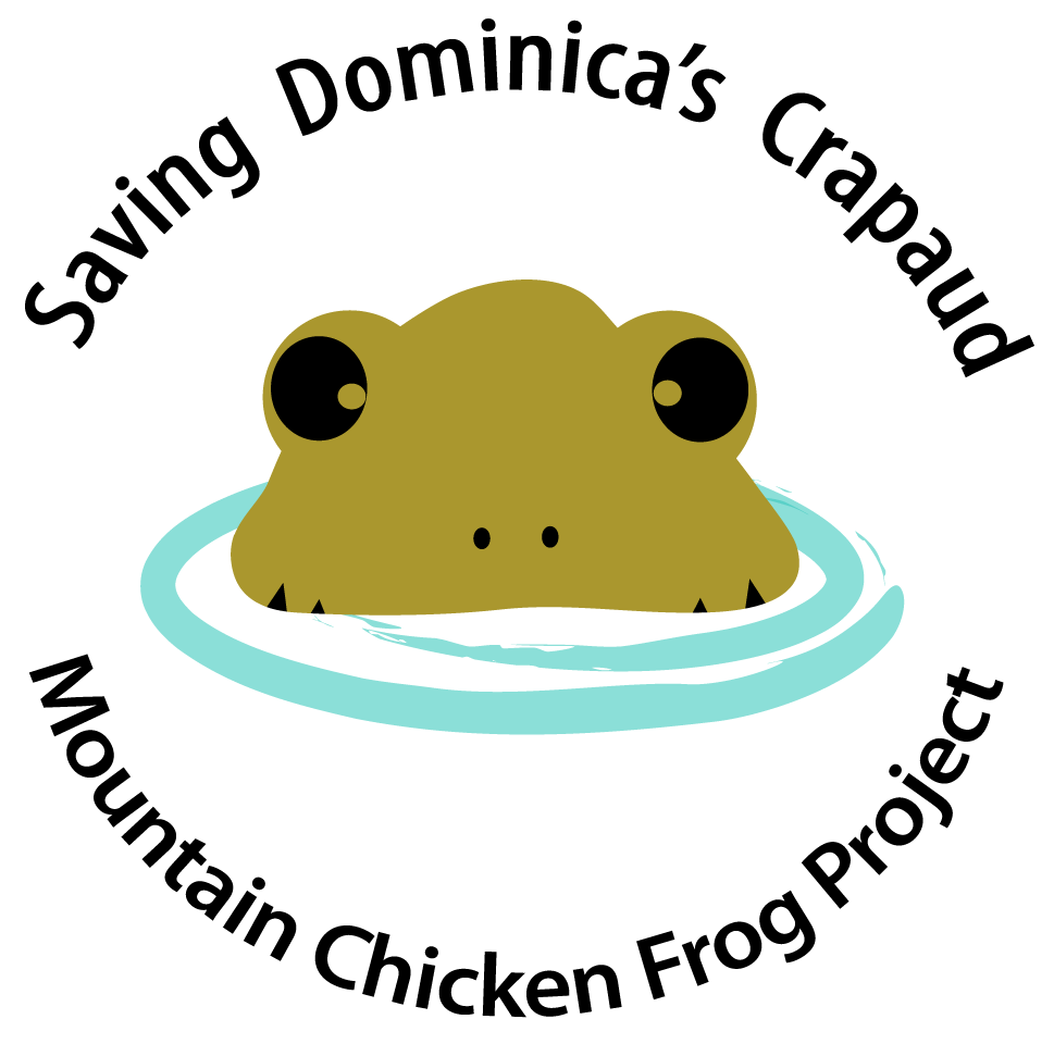 969x960 Endangered Species Dominica Ti Domnik Tales