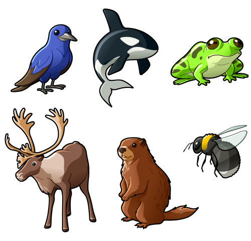 500x480 Mathieu Beaulieu First Wave (Animal Icons) Some Endangered