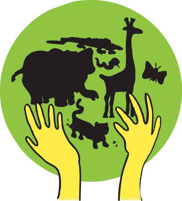 620x685 Young Voices For The Wilderness