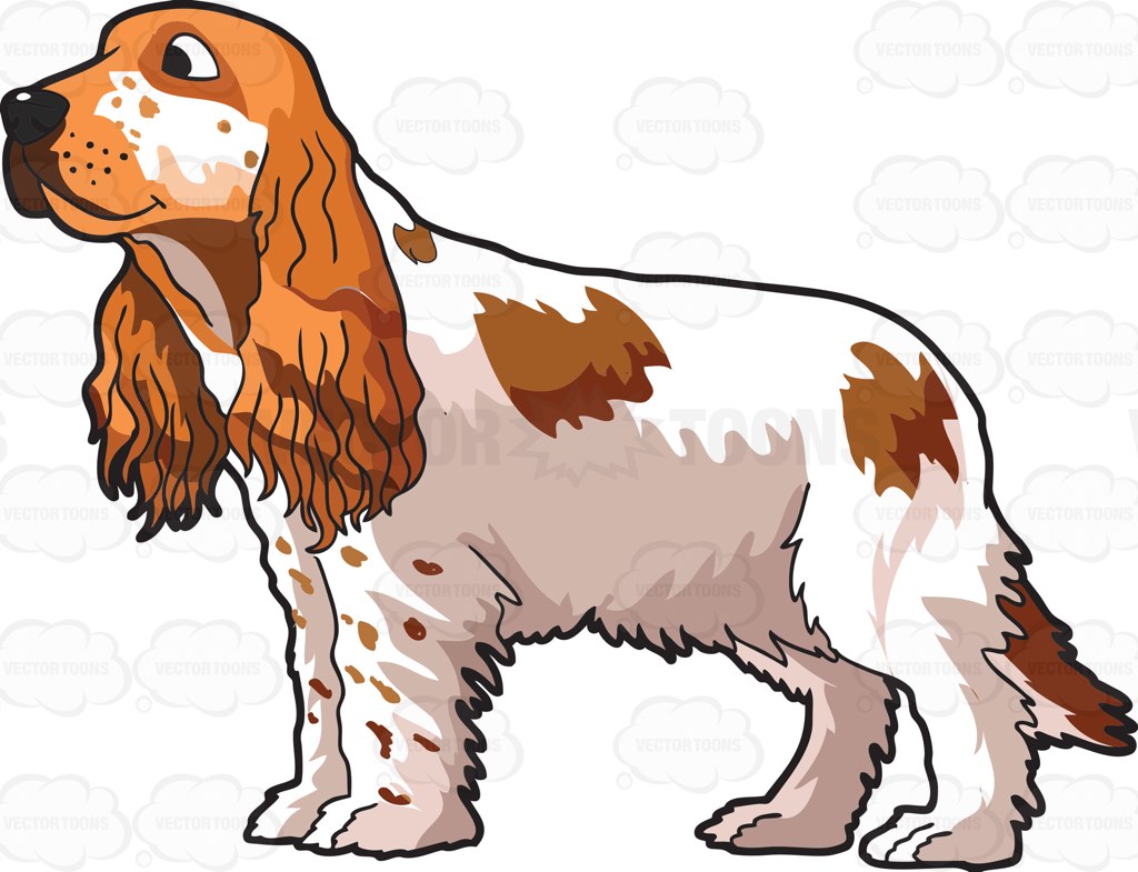 1024x785 Cocker Spaniel Paw Print Clip Art