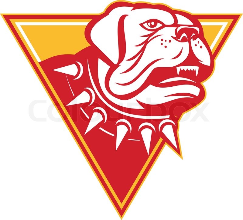 800x726 English Mastiff Dog Mongrel Head Stock Vector Colourbox