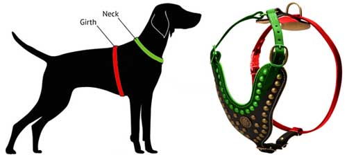 500x227 English Mastiff Leather Harness Royal Dog Harness [H11  1024