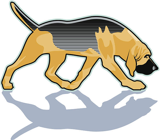 612x535 Bloodhound Clipart Image Group