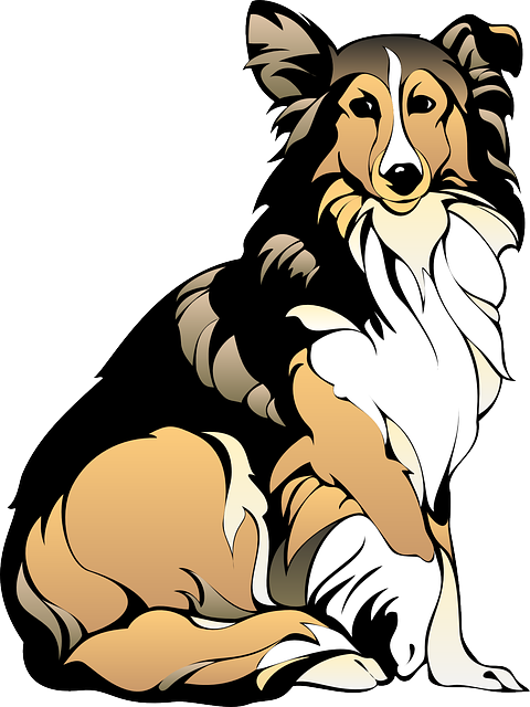 480x640 Collie Dog Clip Art Danasojcd.top Dog Clipart