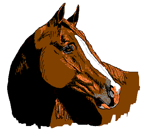 466x418 Equine Art Clip Art Collection Clipart Panda