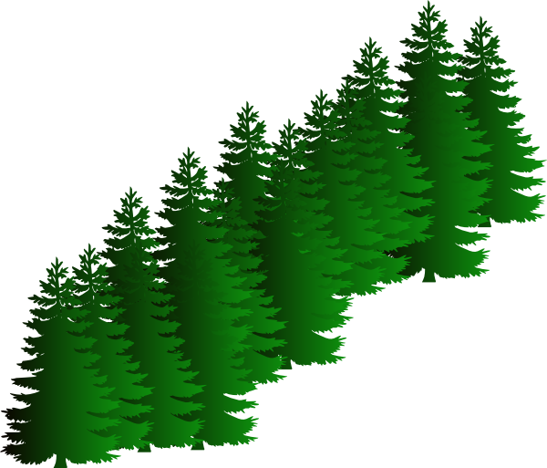 600x513 Evergreen Cluster Clip Art
