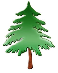 240x301 18best Of Pine Tree Clip Art