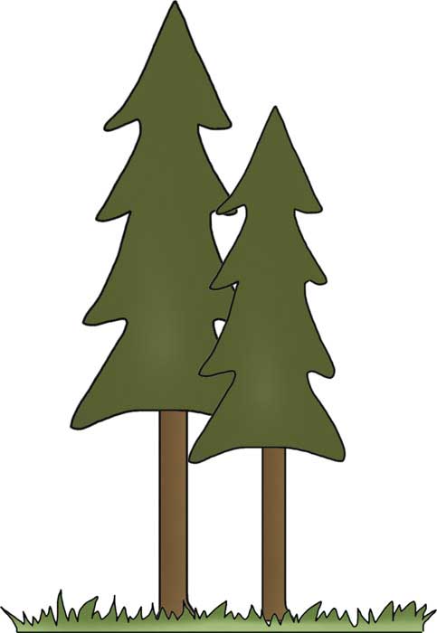 483x700 Tall Trees Clip Art Campingfreebies
