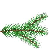 170x170 Collection Of Evergreen Branch Clipart High Quality, Free