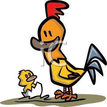 349x350 Royalty Free Clip Art Image Rooster Watching His Son Hatch