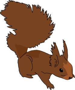 249x300 Evil Squirrel Clip Art Download