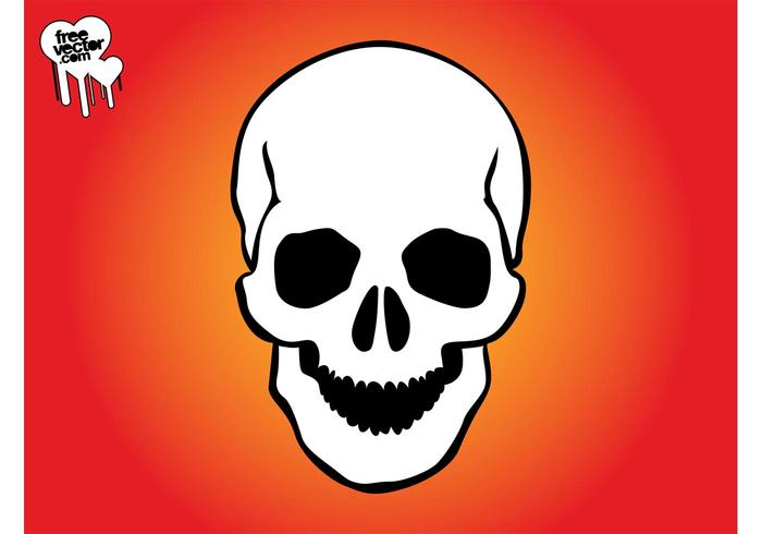 700x490 Smiling Skull Graphics