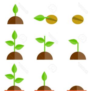 300x300 Png Human Skeleton Clip Art Skeleton Vector Geekchicpro