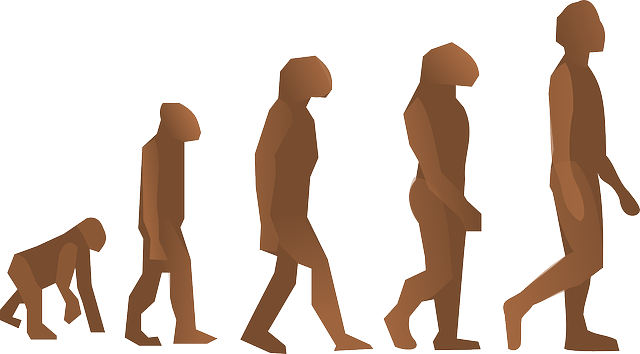 640x354 Evolution. This Nice Clip Art Clipart Panda