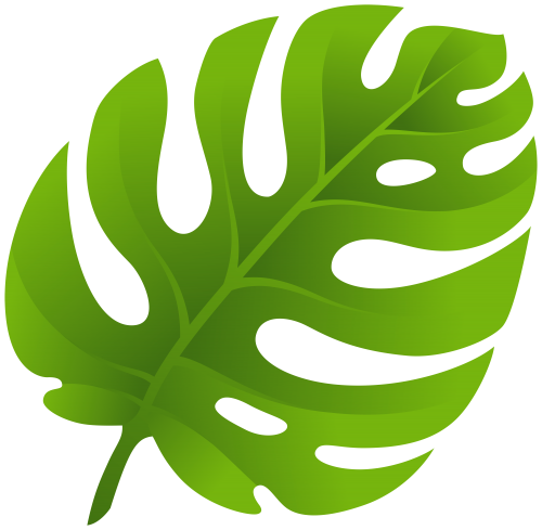 500x489 Exotic Leaf Png Clip Art