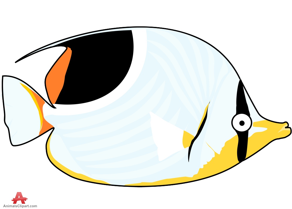 999x714 Exotic Fish Clipart Free Clipart Design Download
