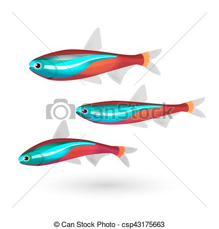 450x470 Tropical Aquarium Fish On White Background. Neon Marine