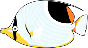 300x165 Tropical Png Images, Icon, Cliparts