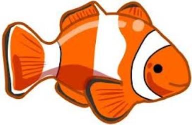 385x252 Tropical Fish Clip Art All Things Sontreasure Island