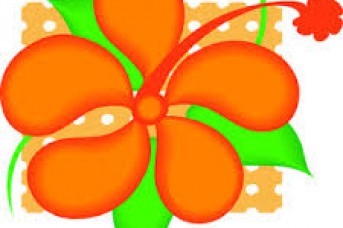 343x228 Orange Tropical Flowers