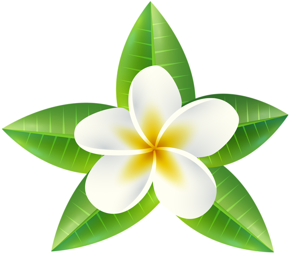 600x527 Tropical Flower Png Clip Art Imageu200b Gallery Yopriceville