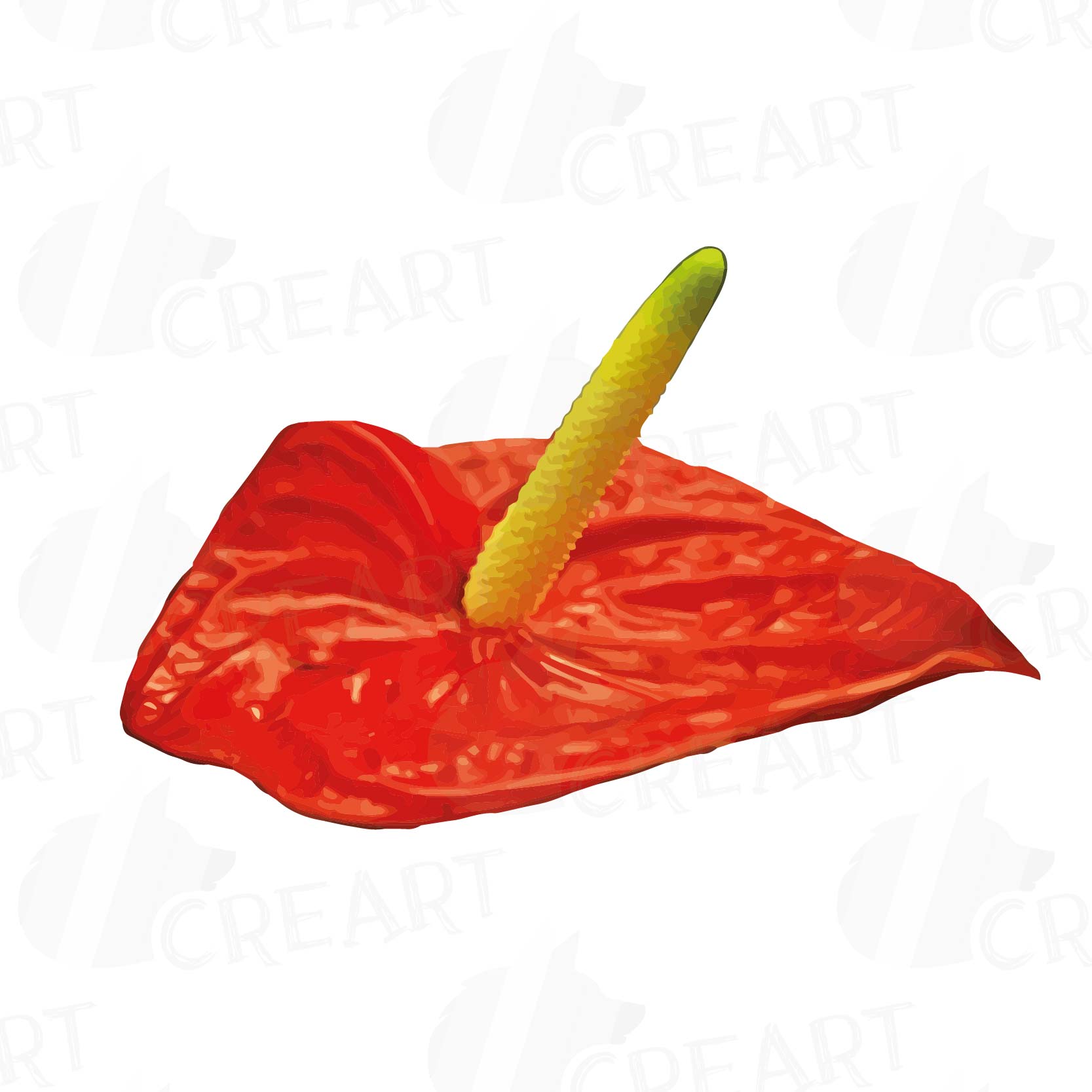 1667x1667 Watercolor Anthurium Leaf And Flowers C Design Bundles