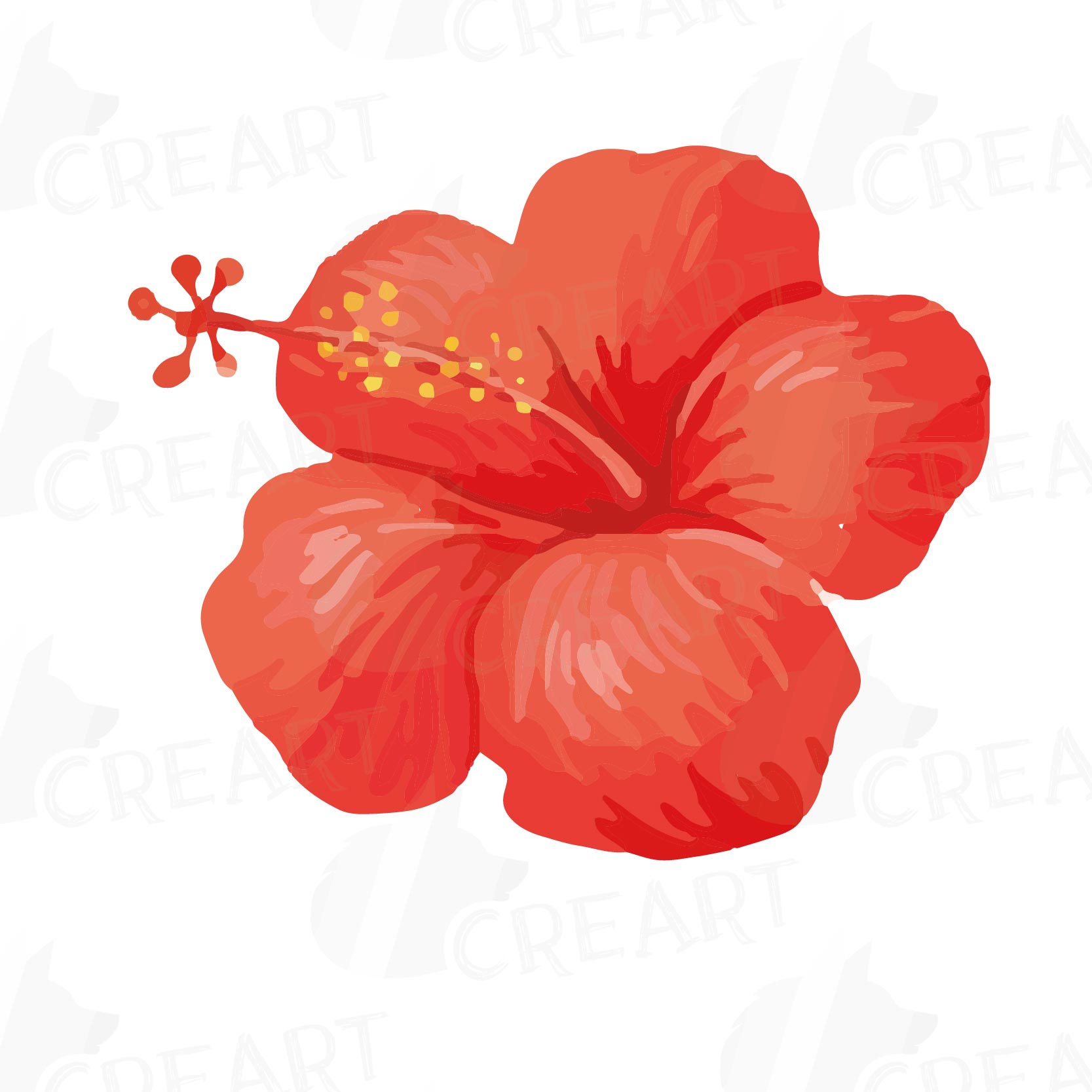 1667x1667 Watercolor Wild Flowers Clip Art Pack, Design Bundles