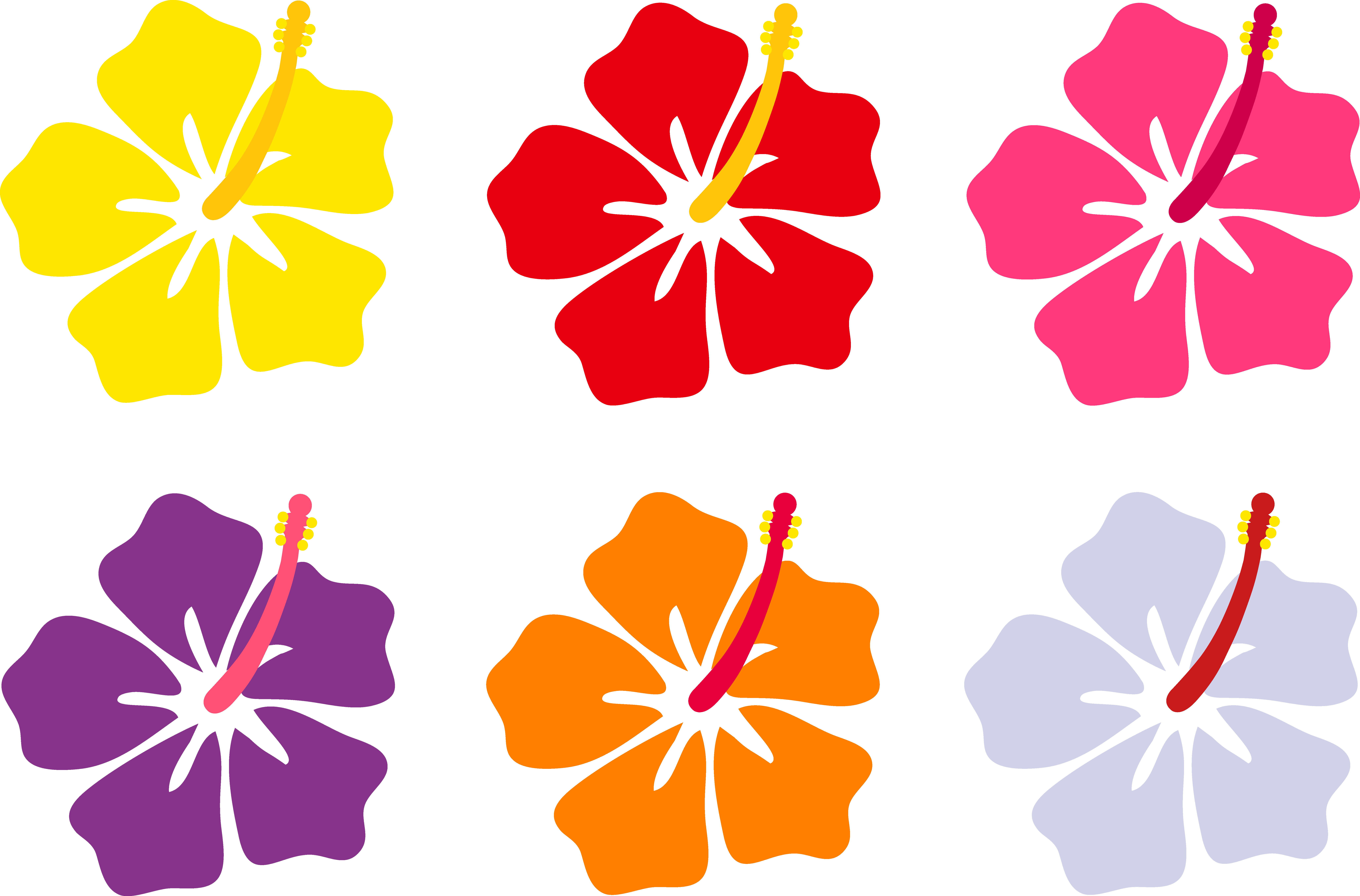 8230x5425 Yellow Flower Clipart Tropical Flower