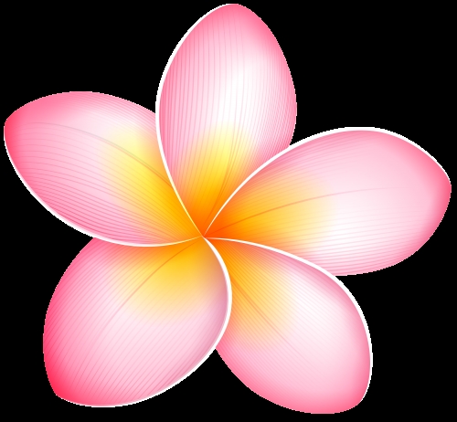 500x462 Clipart Exotic Flowers