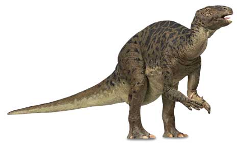 464x280 Dinosaurs Printables, Lesson Plans, And Activities