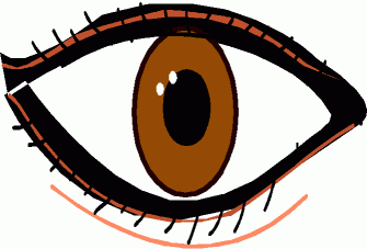335x227 Eye Clipart For Kid