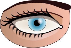 300x202 Eyeball Human Eye Clip Art Free Clipart Images Image