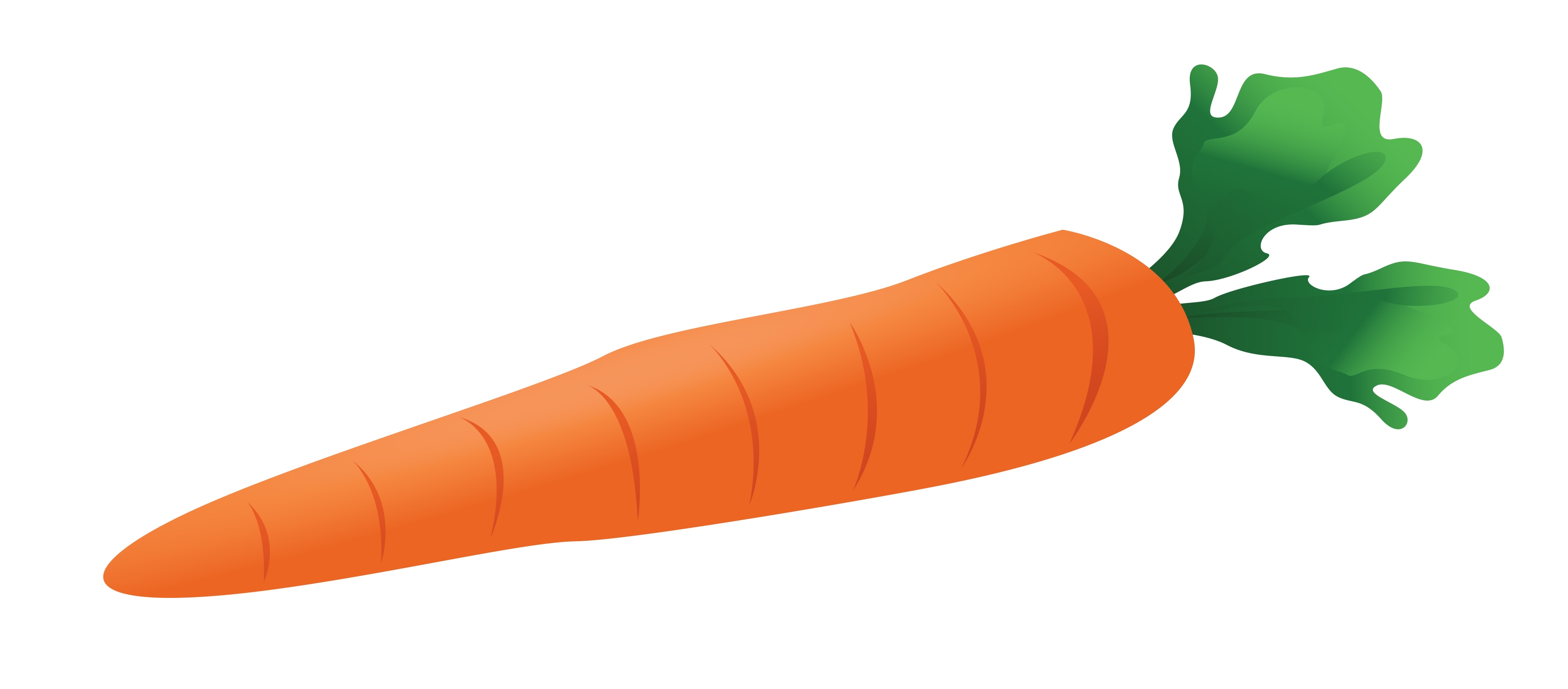 3424x1505 New Carrot Clipart Gallery