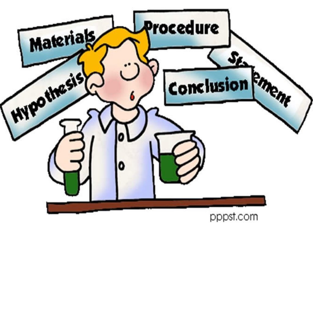 1024x1024 Science Fair Clipart Chicken Clipart